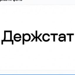 Державна служба статистики України logo