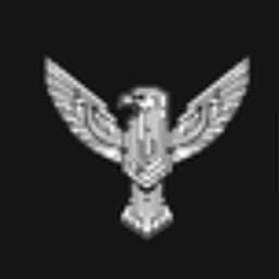 BlueBirdTech logo