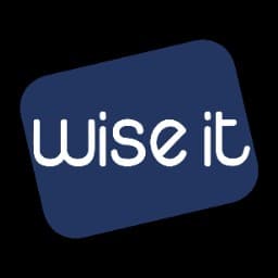 Wise IT logo