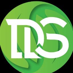 DL SOLUTION logo