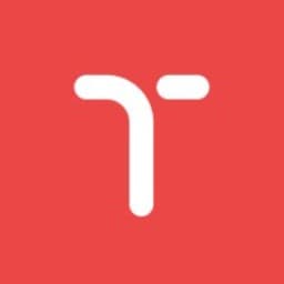 Temy logo